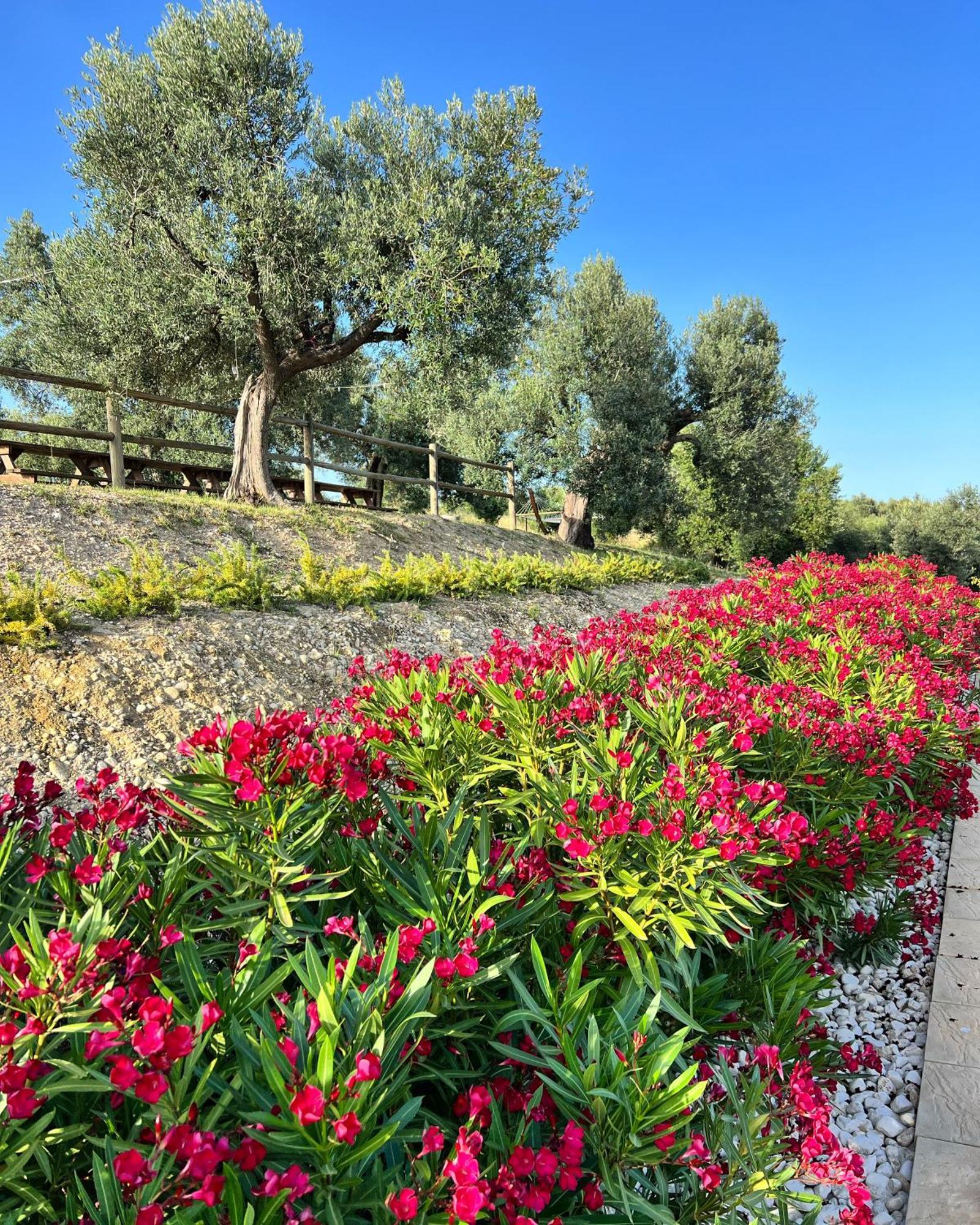 Agrirelais Collelago Massignano Kültér fotó